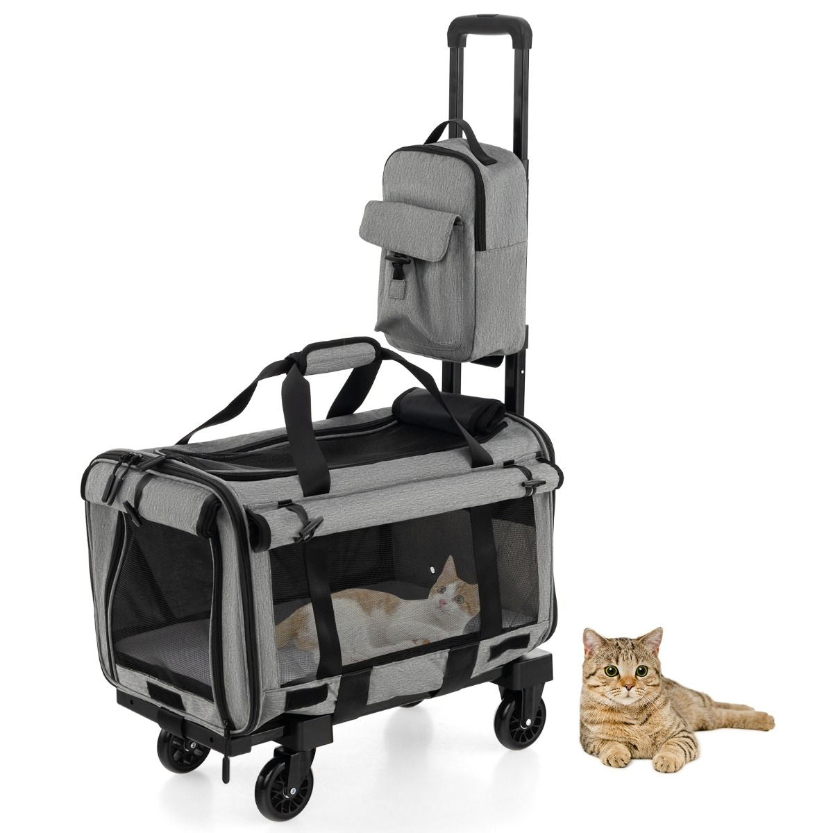 Large Rolling Cat Dog Carrier for Small and Medium Sized Pets