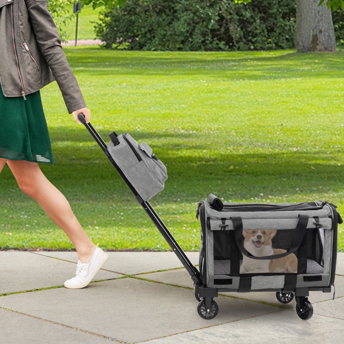 Large Rolling Cat Dog Carrier for Small and Medium Sized Pets